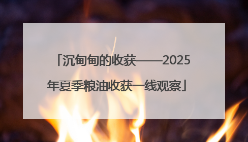 沉甸甸的收获——2025年夏季粮油收获一线观察