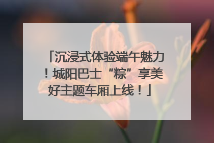 沉浸式体验端午魅力！城阳巴士“粽”享美好主题车厢上线！