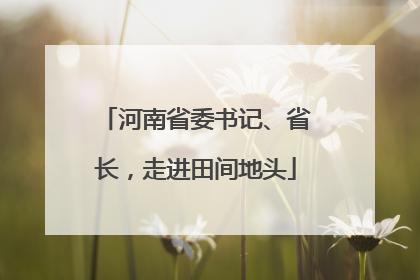 河南省委书记、省长，走进田间地头