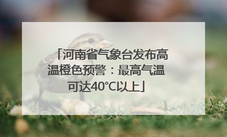 河南省气象台发布高温橙色预警：最高气温可达40℃以上