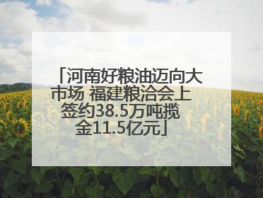 河南好粮油迈向大市场 福建粮洽会上签约38.5万吨揽金11.5亿元