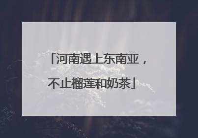 河南遇上东南亚，不止榴莲和奶茶