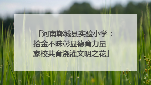 河南郸城县实验小学：拾金不昧彰显德育力量 家校共育浇灌文明之花