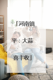 河南镇平：大蒜喜丰收