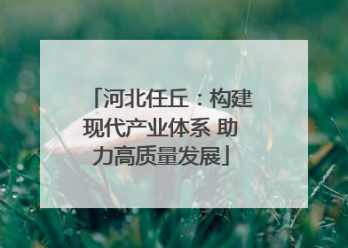 河北任丘：构建现代产业体系 助力高质量发展