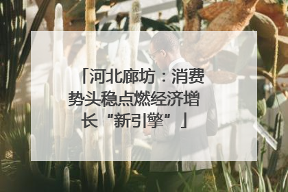 河北廊坊：消费势头稳点燃经济增长“新引擎”