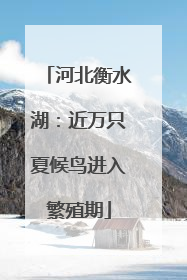 河北衡水湖：近万只夏候鸟进入繁殖期