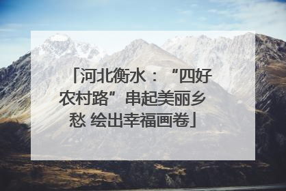 河北衡水：“四好农村路”串起美丽乡愁 绘出幸福画卷