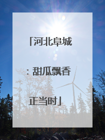 河北阜城：甜瓜飘香正当时
