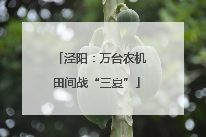 泾阳：万台农机田间战“三夏”