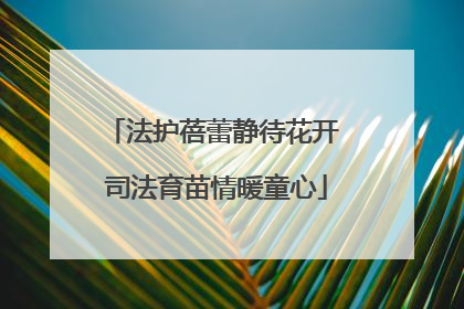 法护蓓蕾静待花开 司法育苗情暖童心