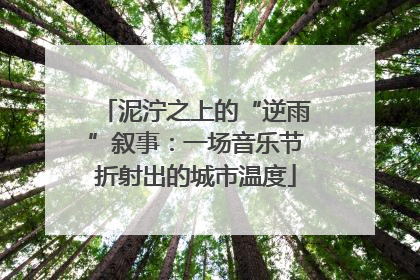 泥泞之上的“逆雨”叙事：一场音乐节折射出的城市温度