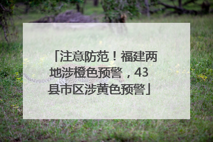 注意防范！福建两地涉橙色预警，43县市区涉黄色预警