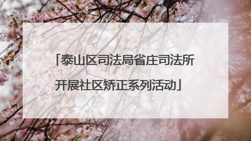 泰山区司法局省庄司法所开展社区矫正系列活动