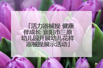 活力器械操 健康伴成长 襄阳市三原幼儿园开展幼儿花样器械操展示活动