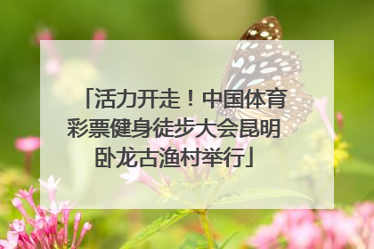 活力开走！中国体育彩票健身徒步大会昆明卧龙古渔村举行