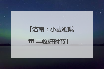 洛南：小麦覆陇黄 丰收好时节