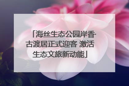 海丝生态公园岸香·古渡居正式迎客 激活生态文旅新动能