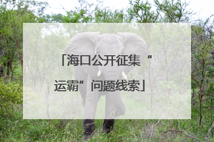 海口公开征集“运霸”问题线索