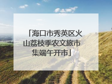 海口市秀英区火山荔枝季农文旅市集端午开市