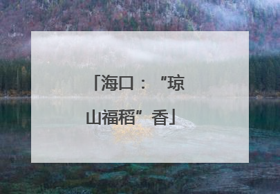 海口：“琼山福稻”香