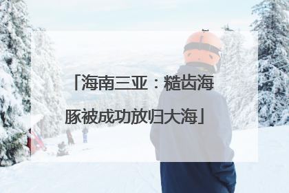 海南三亚：糙齿海豚被成功放归大海
