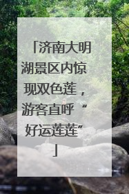 济南大明湖景区内惊现双色莲，游客直呼“好运莲莲”