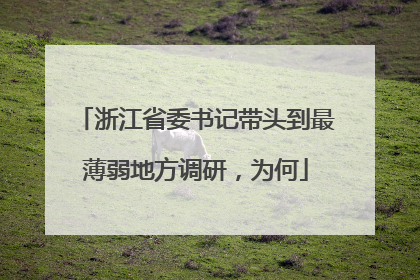 浙江省委书记带头到最薄弱地方调研，为何