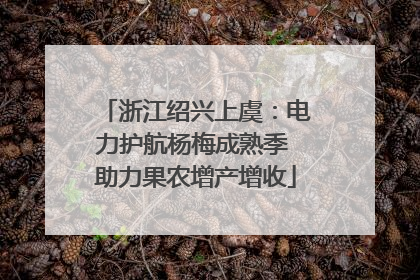 浙江绍兴上虞：电力护航杨梅成熟季 助力果农增产增收
