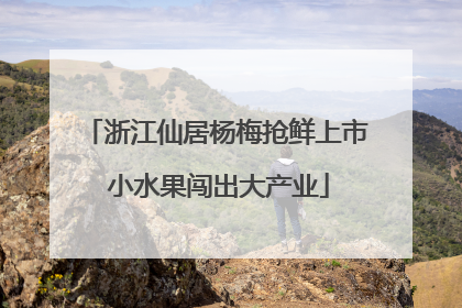 浙江仙居杨梅抢鲜上市 小水果闯出大产业