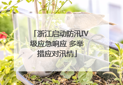 浙江启动防汛Ⅳ级应急响应 多举措应对汛情