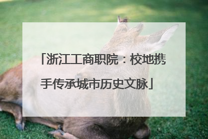 浙江工商职院：校地携手传承城市历史文脉