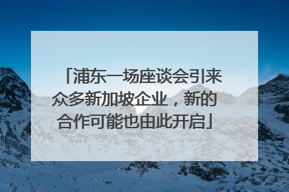 浦东一场座谈会引来众多新加坡企业，新的合作可能也由此开启