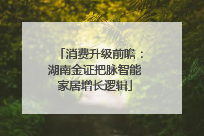 消费升级前瞻：湖南金证把脉智能家居增长逻辑