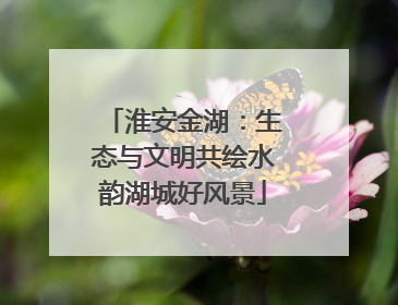 淮安金湖：生态与文明共绘水韵湖城好风景