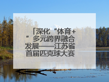 深化“体育+”多元跨界融合发展——江苏省首届匹克球大赛在无锡开赛