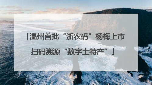 温州首批“浙农码”杨梅上市 扫码溯源“数字土特产”