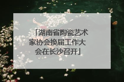 湖南省陶瓷艺术家协会换届工作大会在长沙召开