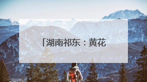 湖南祁东：黄花菜产业助农增收