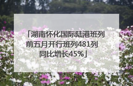 湖南怀化国际陆港班列前五月开行班列481列 同比增长45%