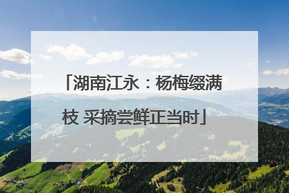 湖南江永：杨梅缀满枝 采摘尝鲜正当时