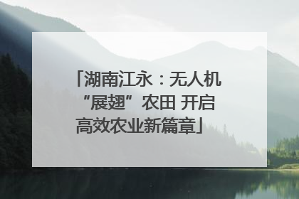 湖南江永：无人机“展翅”农田 开启高效农业新篇章
