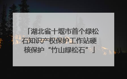 湖北省十堰市首个绿松石知识产权保护工作站硬核保护“竹山绿松石”