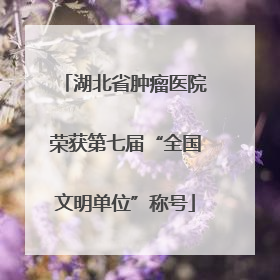 湖北省肿瘤医院荣获第七届“全国文明单位”称号