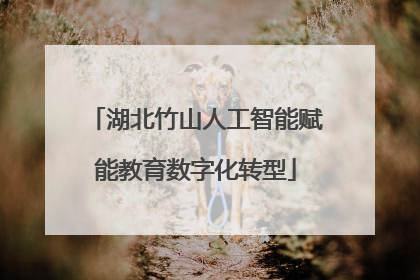 湖北竹山人工智能赋能教育数字化转型