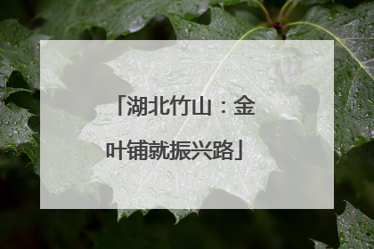 湖北竹山：金叶铺就振兴路