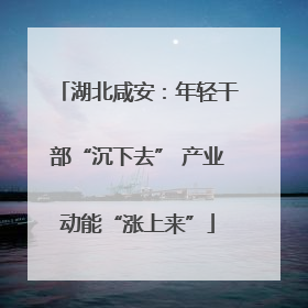 湖北咸安：年轻干部“沉下去” 产业动能“涨上来”