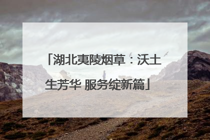 湖北夷陵烟草：沃土生芳华 服务绽新篇