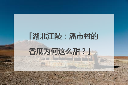 湖北江陵：潘市村的香瓜为何这么甜？