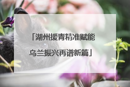 湖州援青精准赋能 乌兰振兴再谱新篇